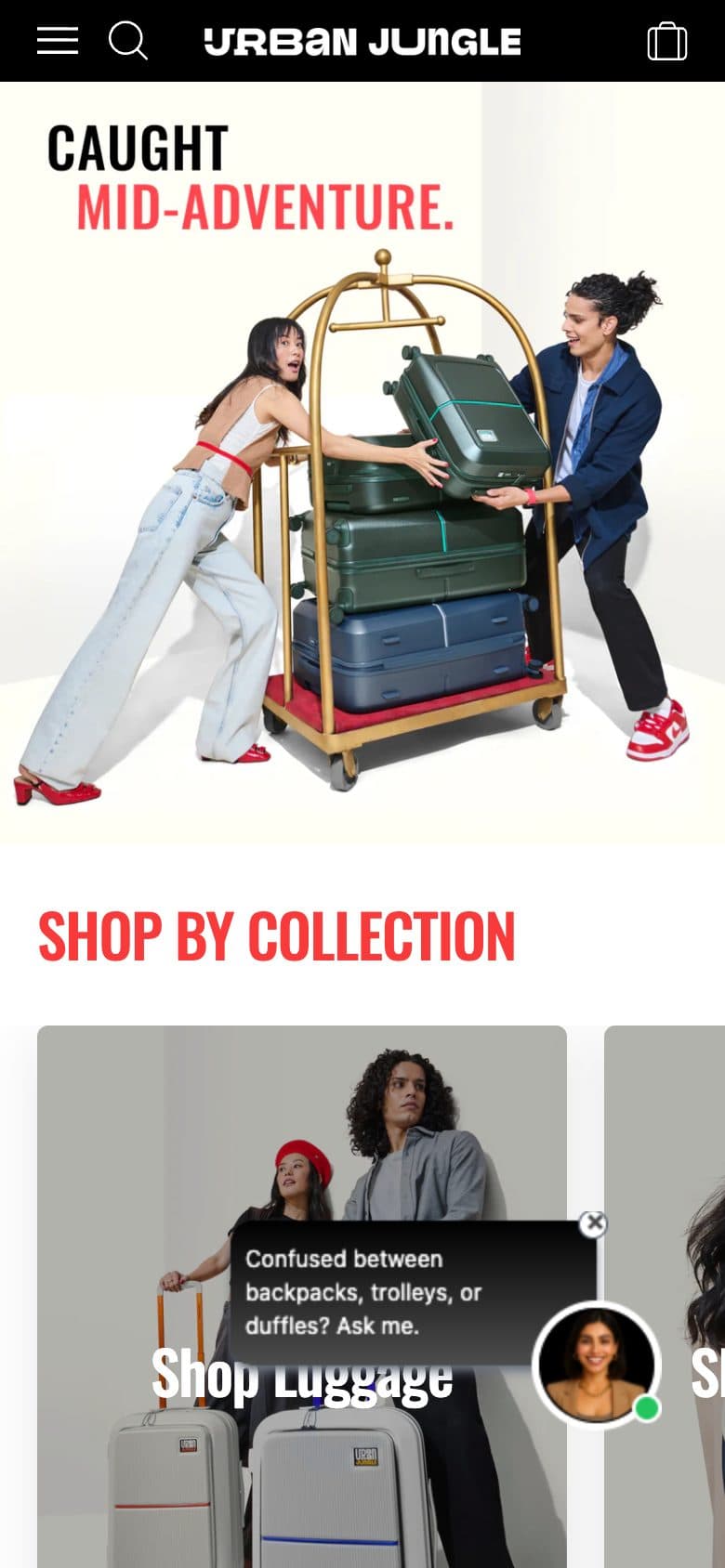 Urban Jungle — versione mobile