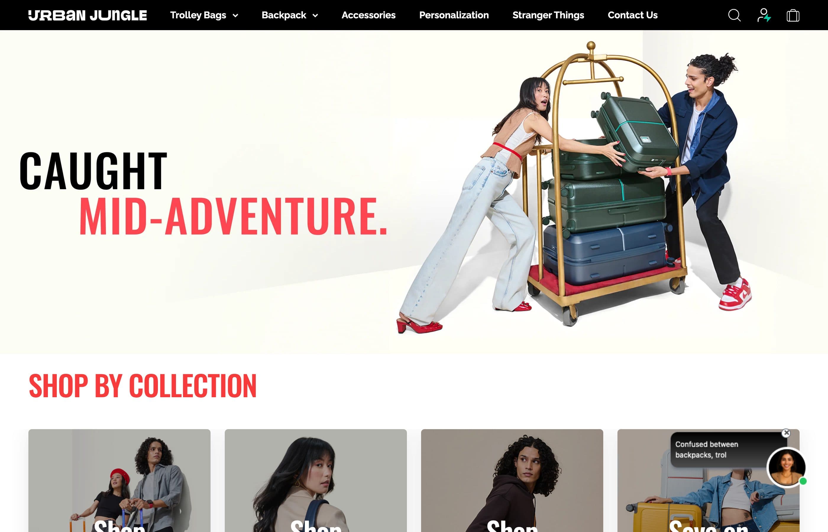 Urban Jungle — panoramica